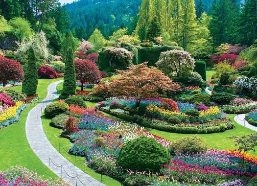 THE BUTCHART GARDENS (1000 PC)
