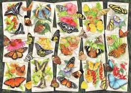 TROPICAL BUTTERFLIES (1000PC)