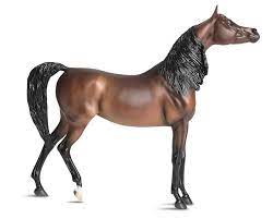ARABIAN: MARCIEA BEY