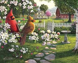 KIM NORLIEN: COUNTRY LIFE (1000PC) (SEEK & FIND)