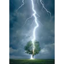 LIGHTNING STRIKE TREE (1000 PC)