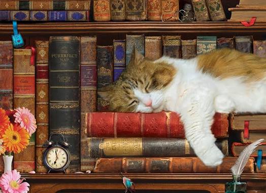 THE CAT NAP (500 PC)