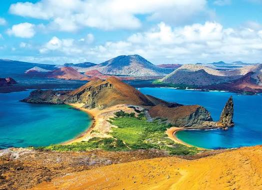 GALAPAGOS ISLANDS (1000 PC)