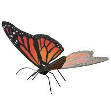 MONARCH BUTTERFLY