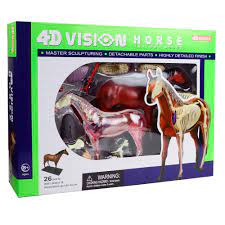 4D VISION HORSE ANATOMY MODEL