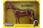 BANDERA