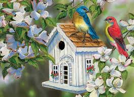23 COTTAGE LANE  (300XL PC)