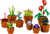 BOTANICALS: TINY PLANTS