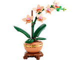 BOTANICAL COLLECTION: MINI ORCHID