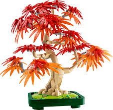 BOTANICAL COLLECTION: JAPANESE MAPLE TREE