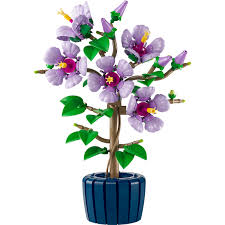 BOTANICAL COLLECTION: HIBISCUS