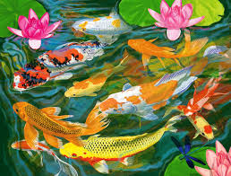 KOI POND (1000PC)