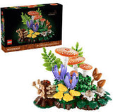BOTANICALS: WOODLAND MUSHROOMS