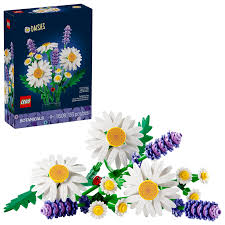 BOTANICAL COLLECTION: DAISIES