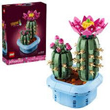 BOTANICAL COLLECTION: FLOWERING CACTUS