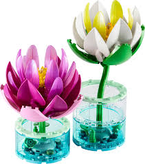 BOTANICALS: WATER LILIES