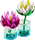 BOTANICALS: WATER LILIES