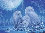 OWLS IN MOONLIGHT (500PC)