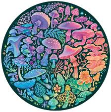 CIRCLE OF COLORS (500PC)