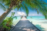 DREAM BEACH IN THE MALDIVES  (4000PC)