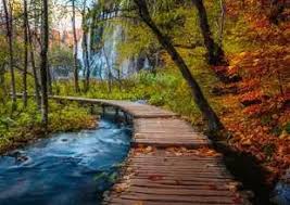 AUTUMN WOOD TRAIL (1000PC)