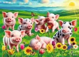 PRECIOUS PIGLETS (60PC)