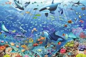 COLORFUL UNDERWATER WORLD (3000PC)