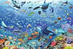 COLORFUL UNDERWATER WORLD (3000PC)