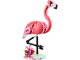 CREATOR - PINK FLAMINGO