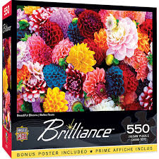 BRILLIANCE: BEAUTIFUL BLOOMS  (550PC) (BONUS POSTER INCLUDED)