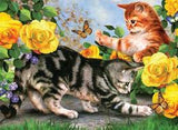 KITTEN PLAY (11IN X 15IN)