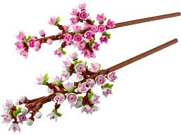 FLOWERS: CHERRY BLOSSOMS