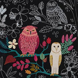 OWLS: SCRATCH ART PAPER PAD