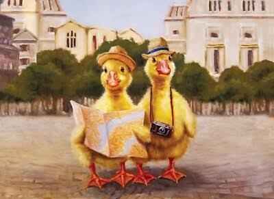 DUCK TOURS  (500 PC)