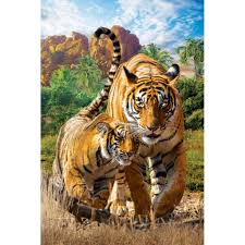 TIGERS  (250 PC)