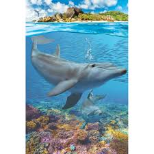 DOLPHINS  (250 PC)