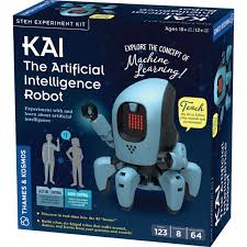 KAI: THE ARTIFICIAL INTELLIGENCE ROBOT