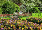 KEUKENHOF GARDENS, NETHERLANDS (1000PC)