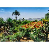 BOTANICAL GARDEN, MADEIRA (1000PC)