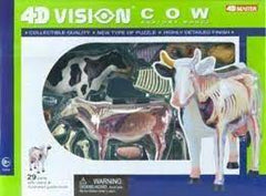 4D VISION COW ANATOMY MODEL