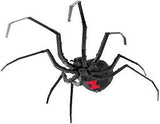 BLACK WIDOW SPIDER