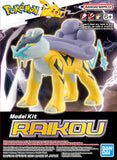 POKÉMON: RAIKOU