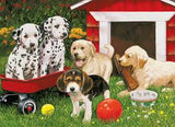 PUPPY PARTY (60PC)