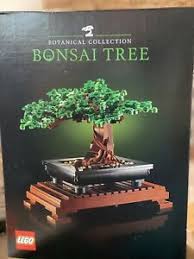 BOTANICAL COLLECTION: BONSAI TREE