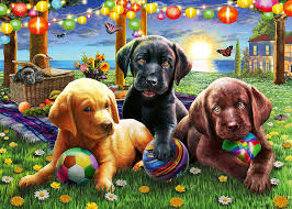 PUPPY PICNIC (100XXL PC)