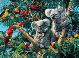KOALAS IN A TREE (500PC)