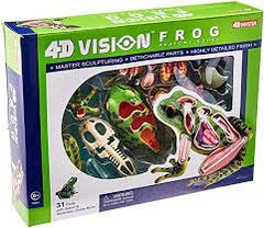 4D VISION FROG ANATOMY MODEL