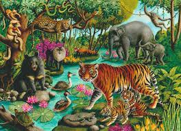 ANIMALS OF INDIA (60 PC)