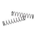 REAR SHOCK SPRINGS (2): CIRCUIT