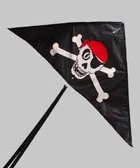 GAYLA NYLON DELTA KITE 50" WINGSPAN SKULL & CROSS BONES